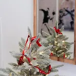 Daire La Casa Dei Mori *